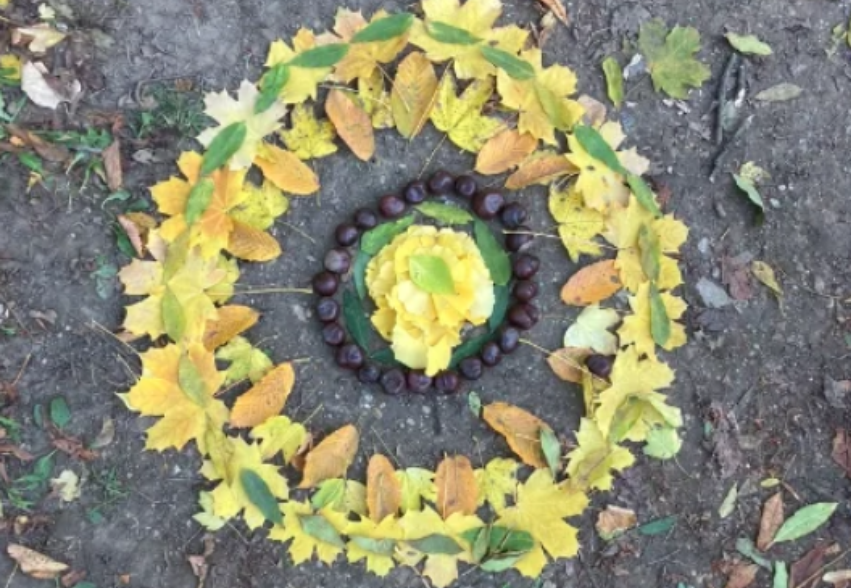 Hattyú fotó
